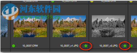 PictureCode Photo Ninja(RAW图片转换器) 1.3.8 免费版