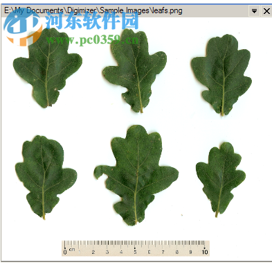 图像测量专家 2018 官方版