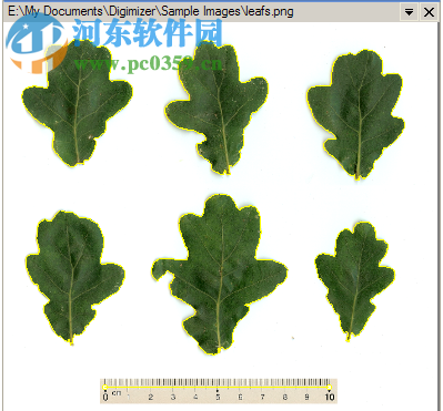 图像测量专家 2018 官方版