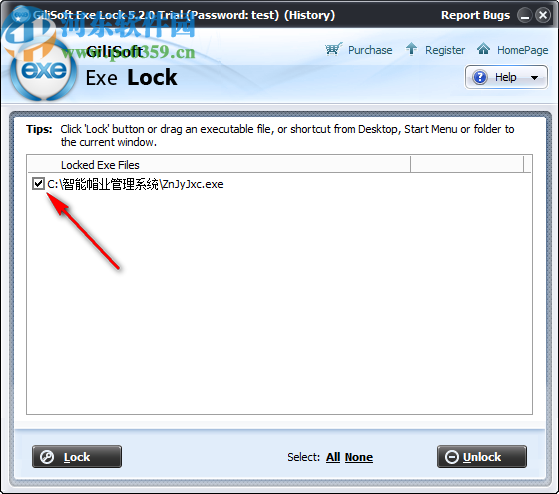 Gilisoft EXE Lock(EXE程序加密软件)