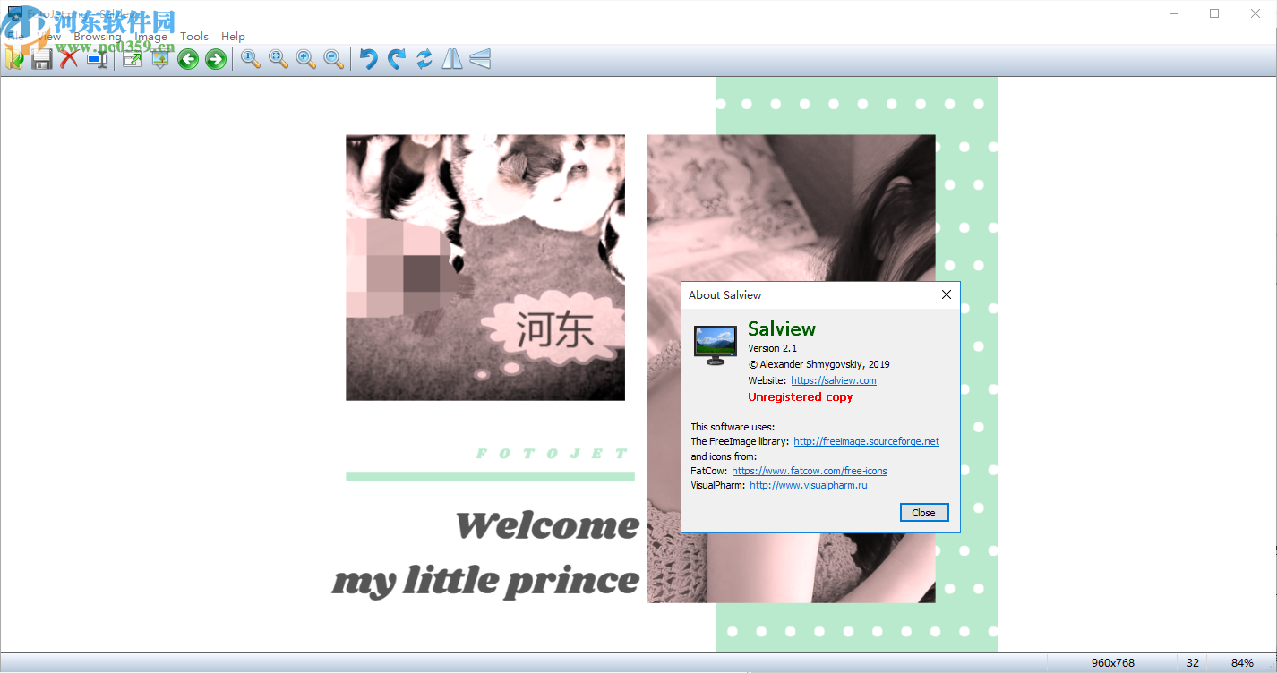 Salview(图片<a href=/zt/liulanqi/ target=_blank class=infotextkey>浏览器</a>)