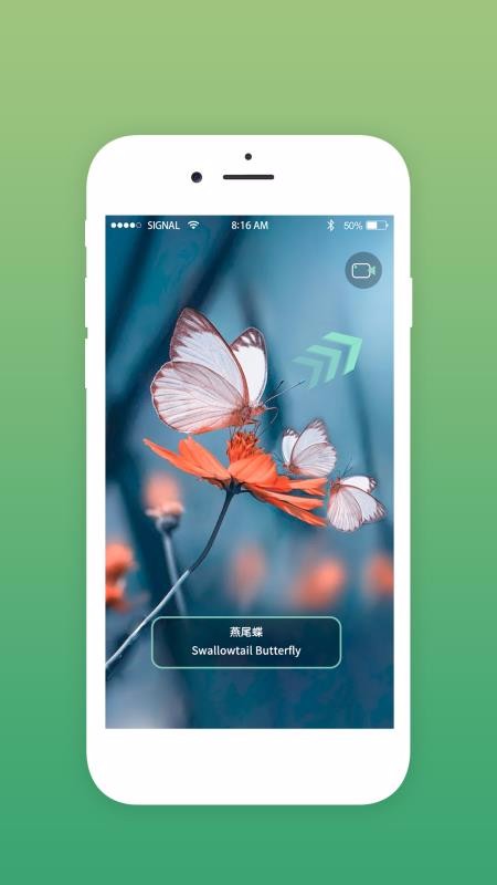 探索野生城市(4)