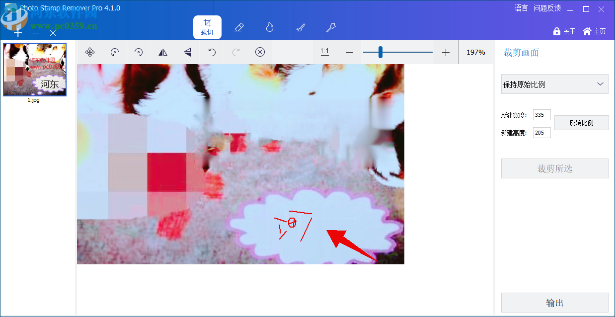 GiliSoft Photo Stamp Remover(图片水印清除工具)