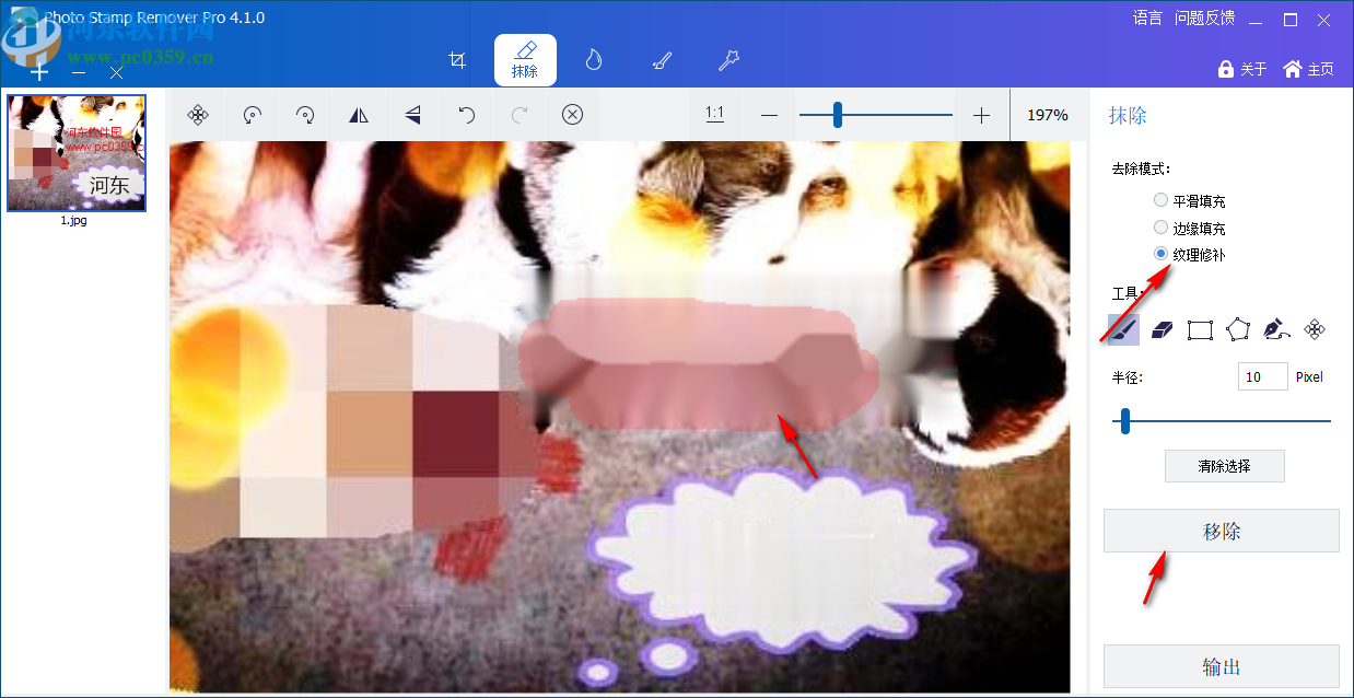 GiliSoft Photo Stamp Remover(图片水印清除工具)