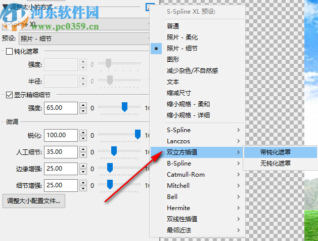 Benvista PhotoZoom Classic(图片放大软件)