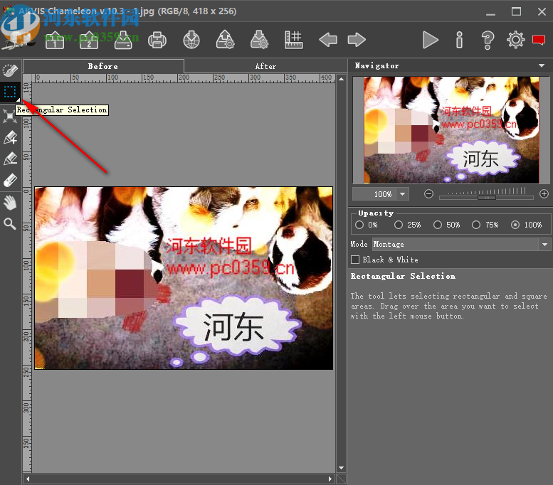 AKVIS Chameleon(照片拼接软件)