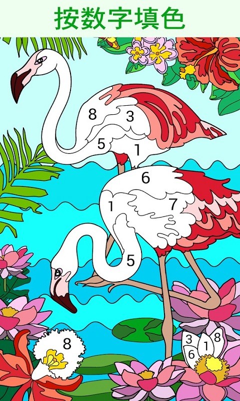 按数字编号上色的涂色书(1)