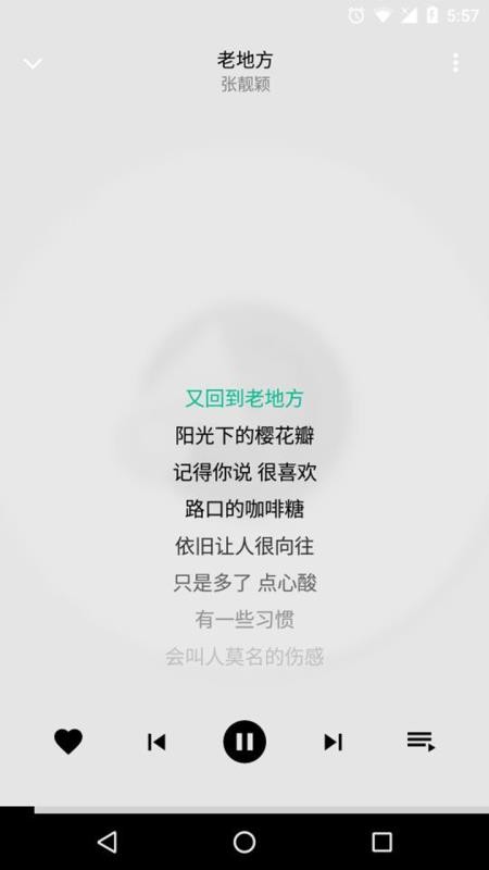 专业版音乐播放器(3)