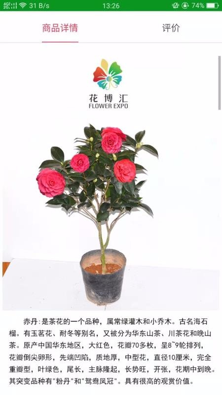 花博汇(4)