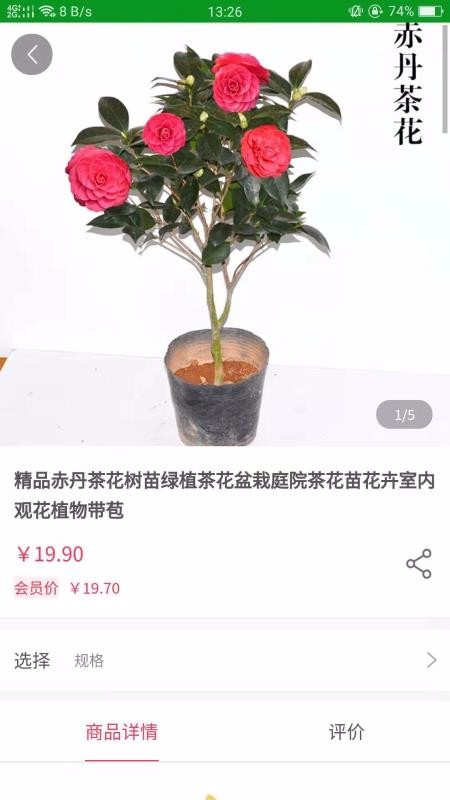 花博汇(3)
