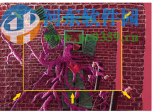 AnimaShooter Pioneer(定格动画软件)