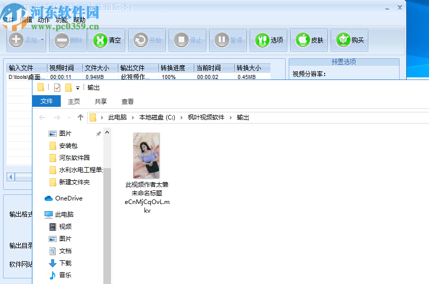 枫叶MTS格式转换器