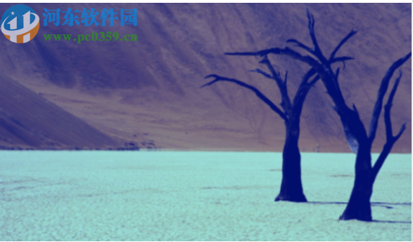 Corel VideoStudio 2019 Lite 64位免费版