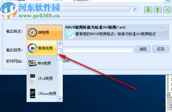 枫叶RM/MP4格式转换器