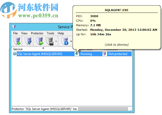 Service Protector(服务保护软件)