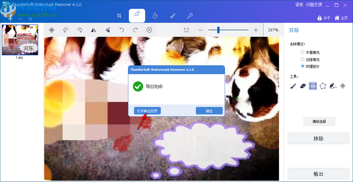 ThunderSoft Watermark Remover(图片水印删除软件)