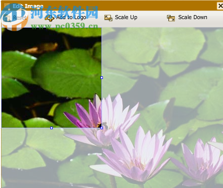 Quick Logo Designer(LOGO制作软件)