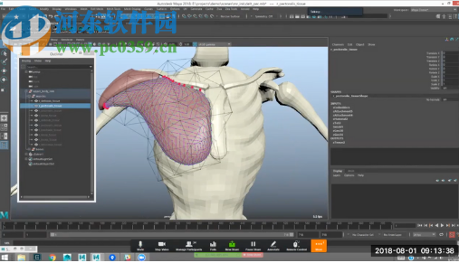 Ziva Dynamics Ziva VFX(骨骼肌肉运动模拟插件)for maya 2017 2018 2019