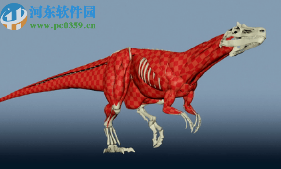 Ziva Dynamics Ziva VFX(骨骼肌肉运动模拟插件)for maya 2017 2018 2019