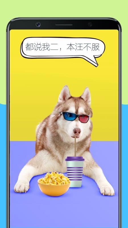 人狗训练翻译器(1)