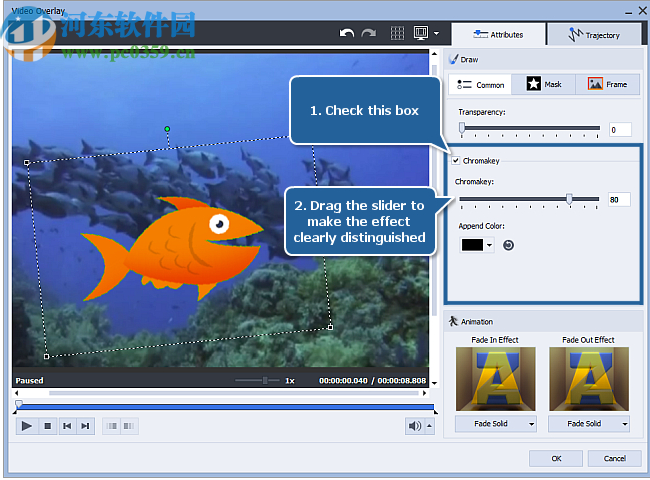 AVS Video Software(视频编辑工具)