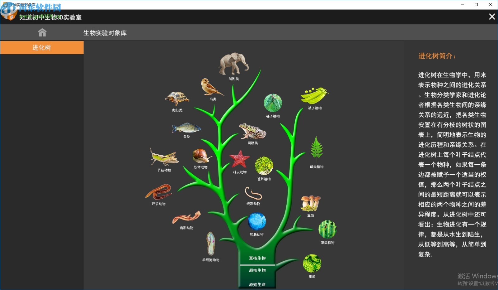 矩道初中生物VR3D虚拟仿真实验室