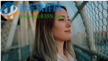 pr2020中文绿色精简版