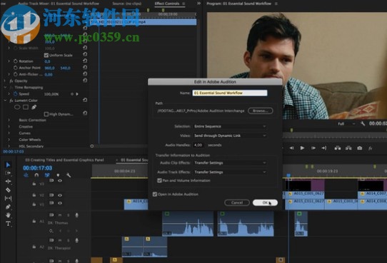 pr2020中文绿色精简版