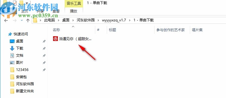 网易云音乐下载器自用版