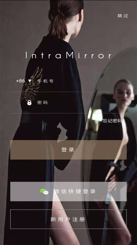IntraMirror(3)