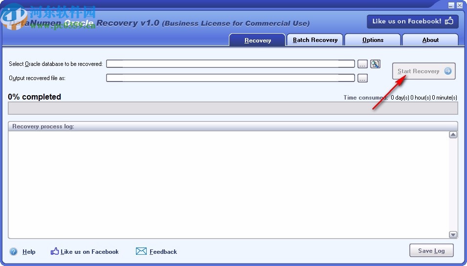 DataNumen Oracle Recovery