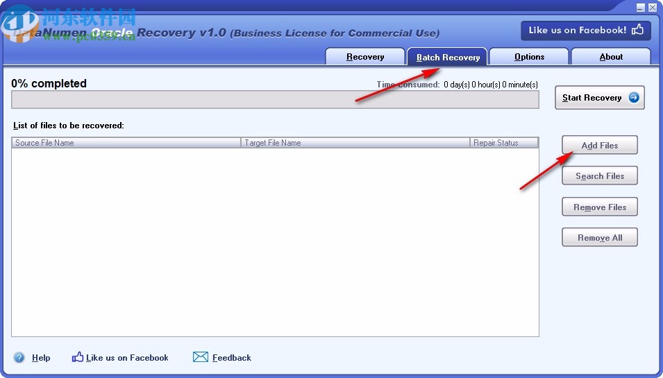 DataNumen Oracle Recovery