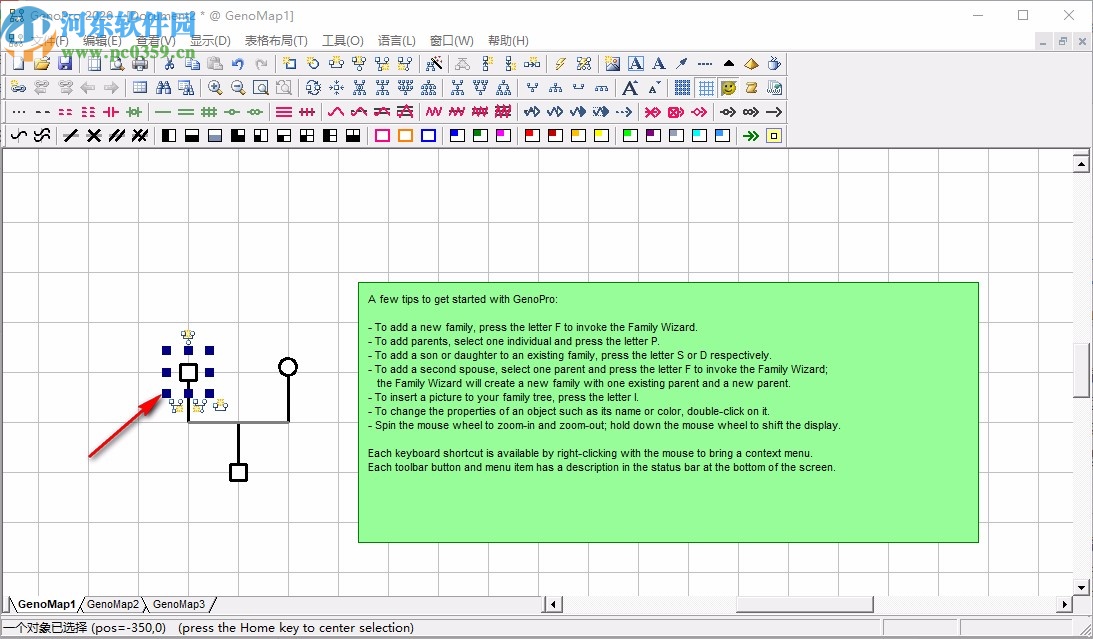 GenoPro(家谱族谱制作软件)