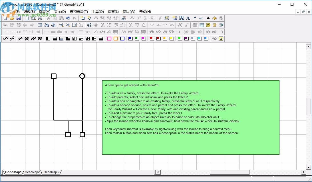 GenoPro(家谱族谱制作软件)