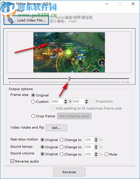 Easy Video Reverser下载