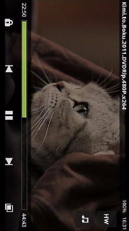 MX 播放器编解码器(ARMv7 NEON)(2)