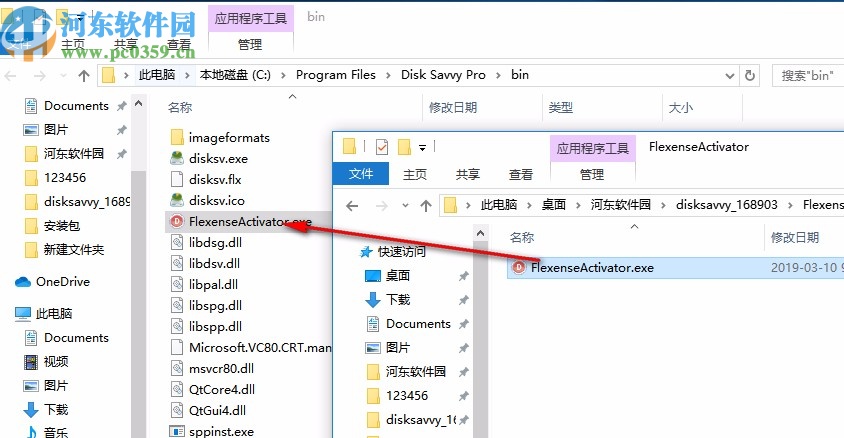 disk savvy pro下载