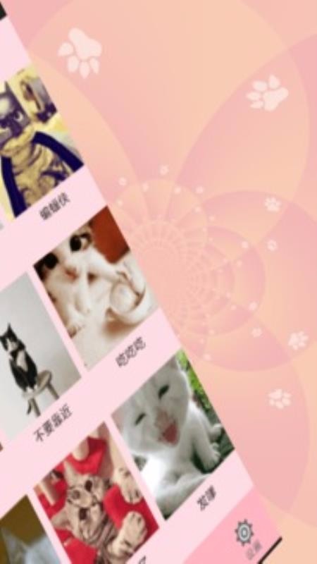 狗语猫语翻译器(2)