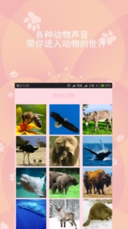 狗语猫语翻译器(3)