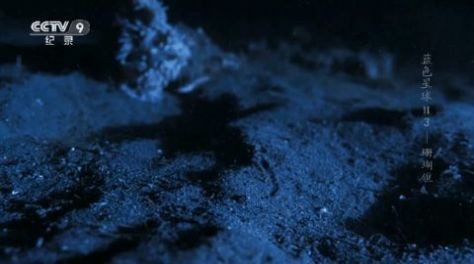 海燕TV电视版(1)