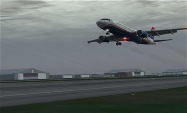 专业模拟飞行手机版(4)