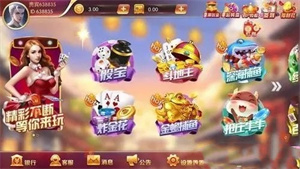 鸿运棋牌2019最新款(3)