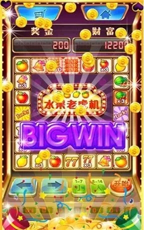 老虎机单机游戏手机版ios(1)